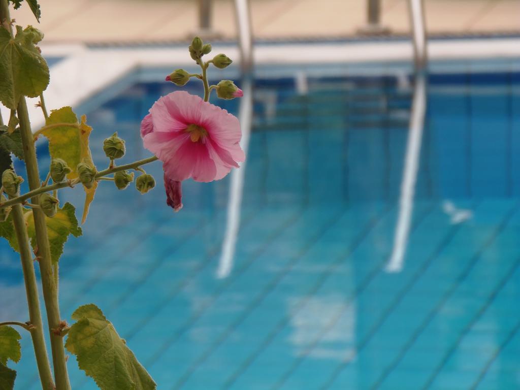 Emerald Hotel Malia Exterior foto